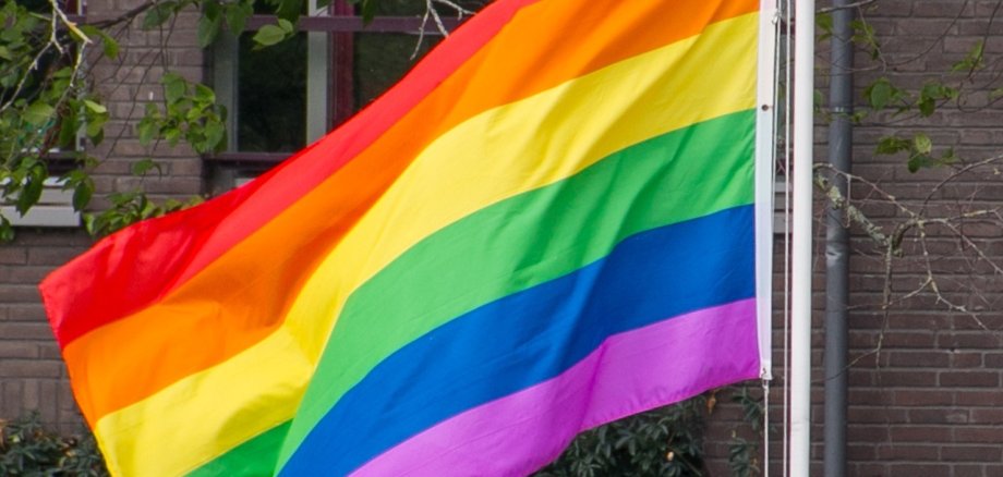 Regenbogenflagge im Wind