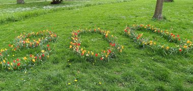 Blooming 800 in Marienpark