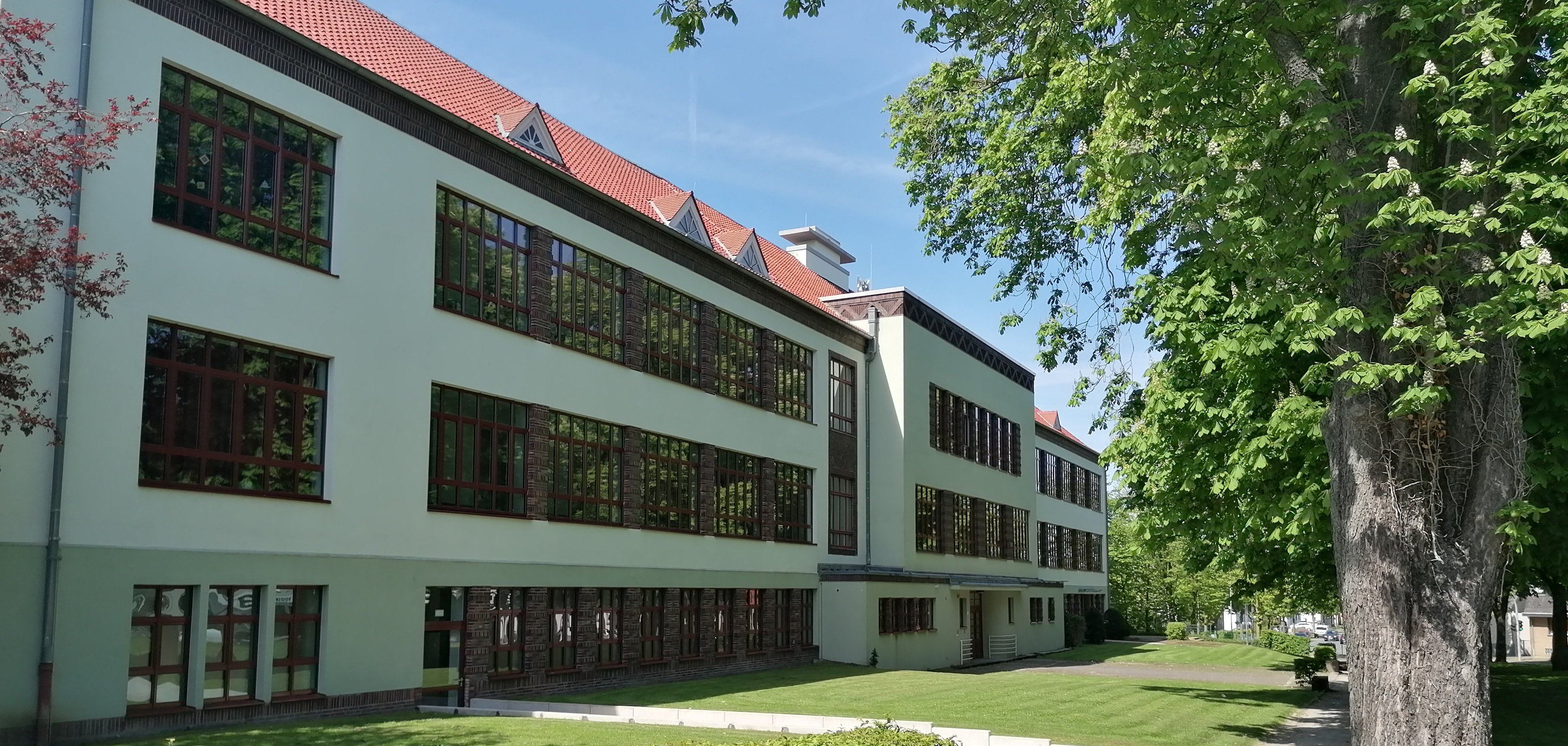 Main entrance from the street side with chestnut trees
