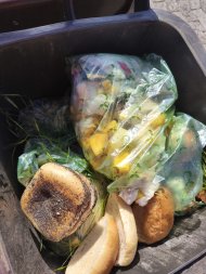 Falsch befüllte Biotonne