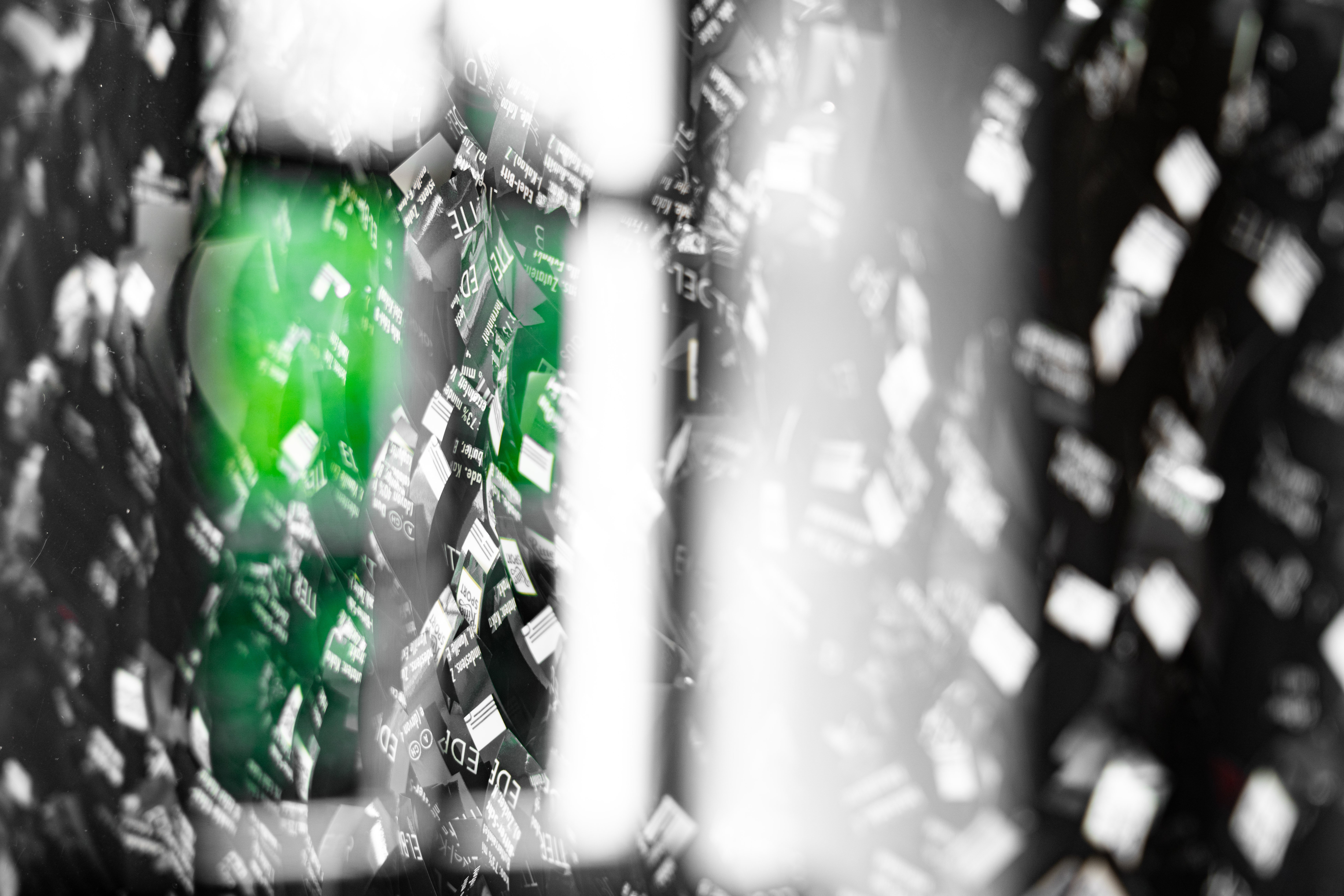 Picture Monika Radhoff-Troll