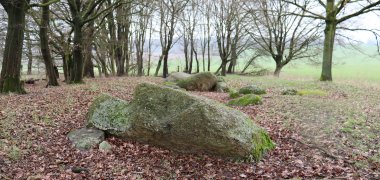 Stone box grave in Dalmer