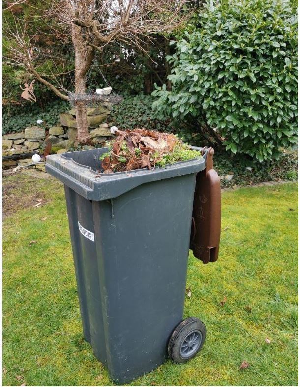 Organic waste bin