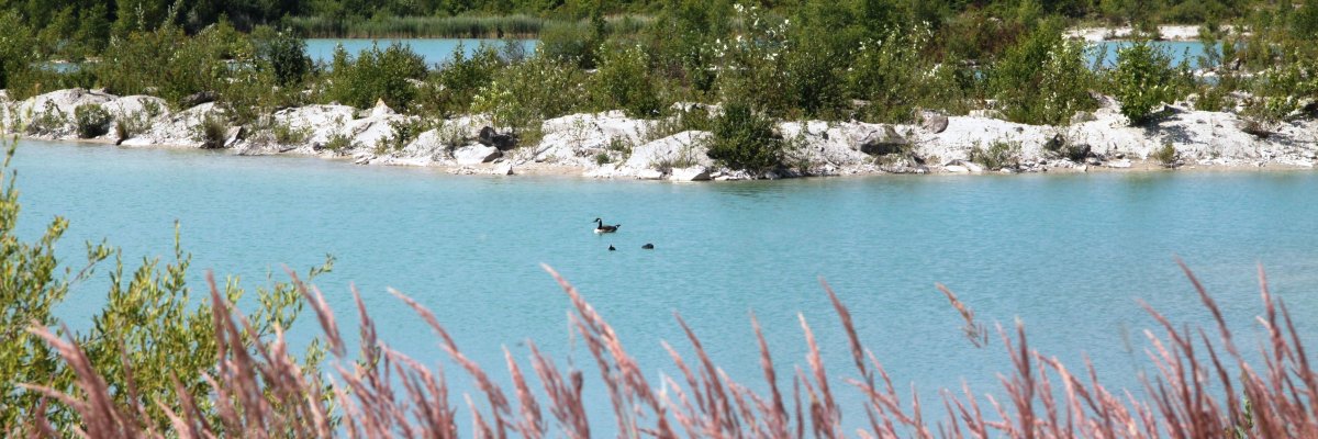 Blue Lagoon