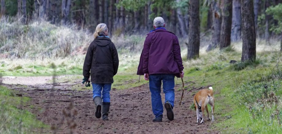 Paar met aangelijnde hond in het bos