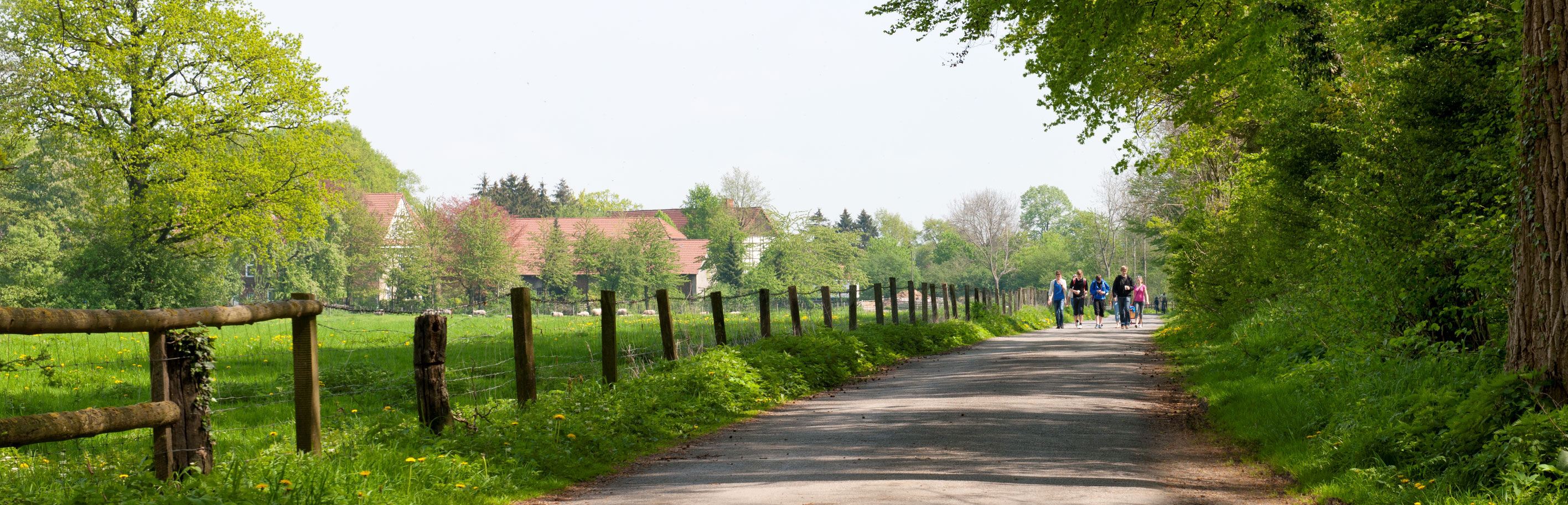 Wandelaars op een boerenpad