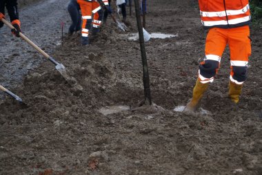 Archivbild Baumpflanzaktion