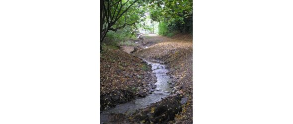 Siechenbach na de bouwwerkzaamheden