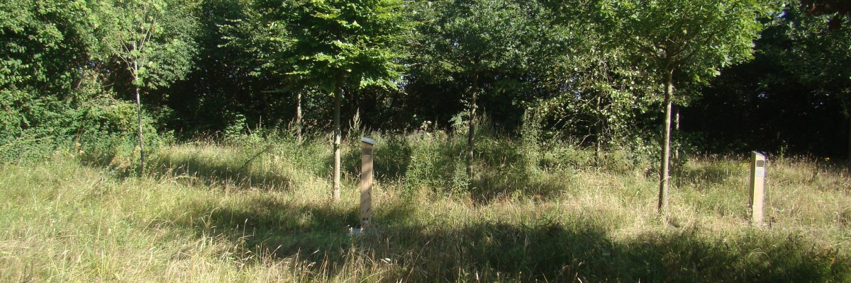 Beckum in vogelvlucht