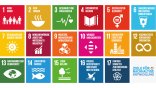 17 SDG's