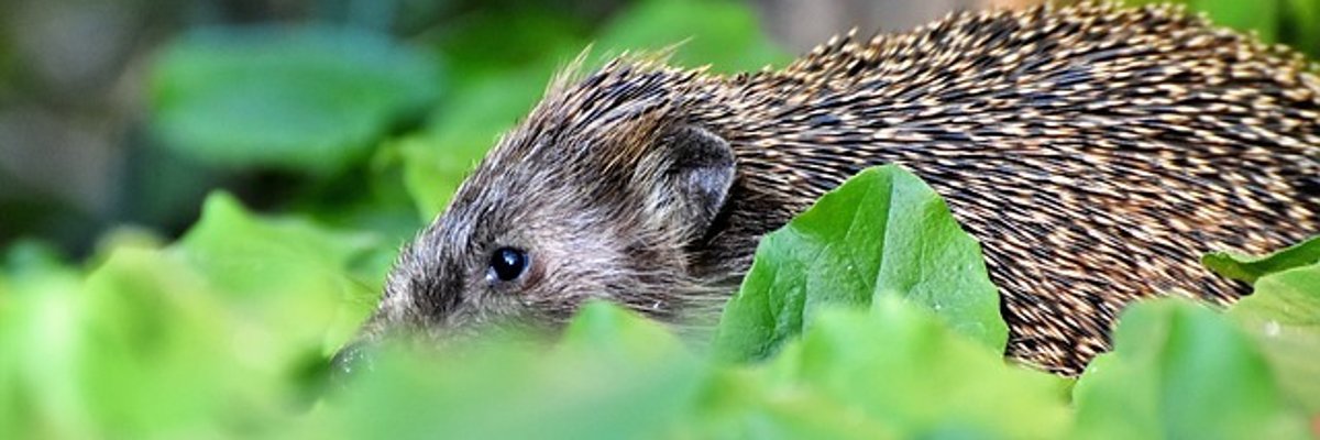 Beckum in vogelvlucht