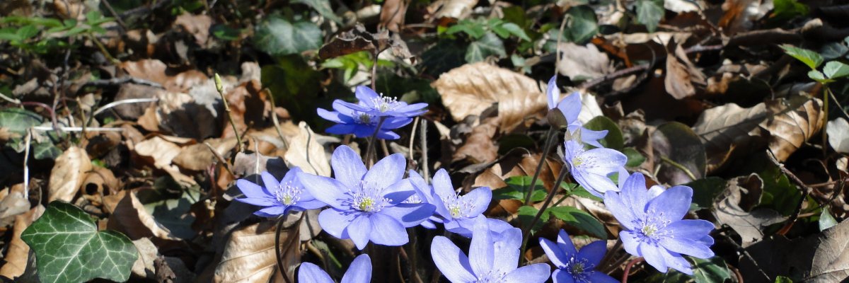 Beckum in vogelvlucht