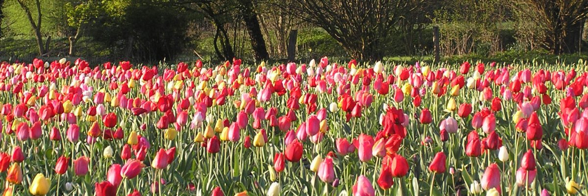 Beckum in vogelvlucht