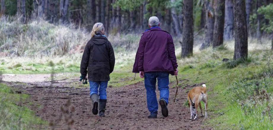 Älteres Paar geht mit Hund spazieren