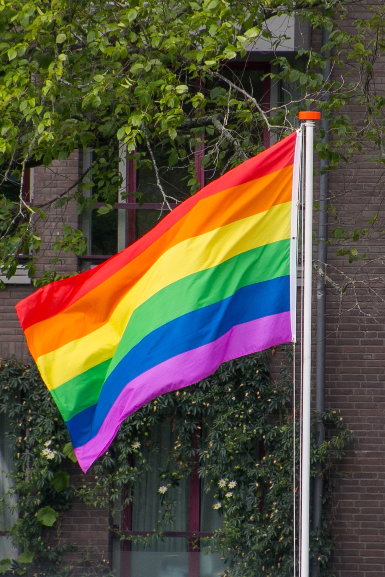 Regenbogenflagge im Wind