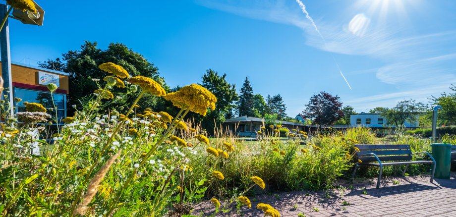 Freibad Beckum