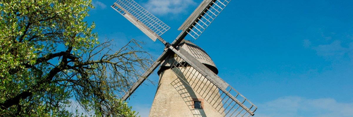Schülergruppe vor der Schule