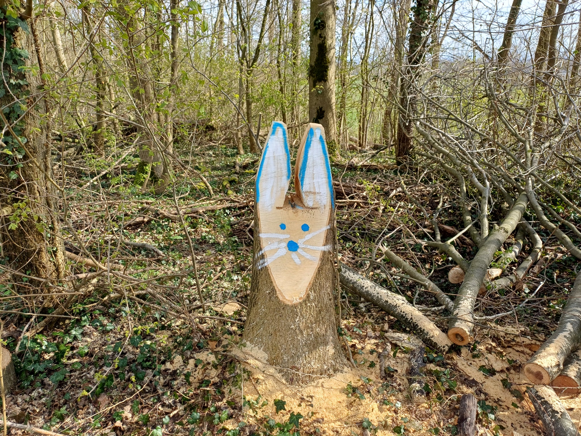 Osterhase