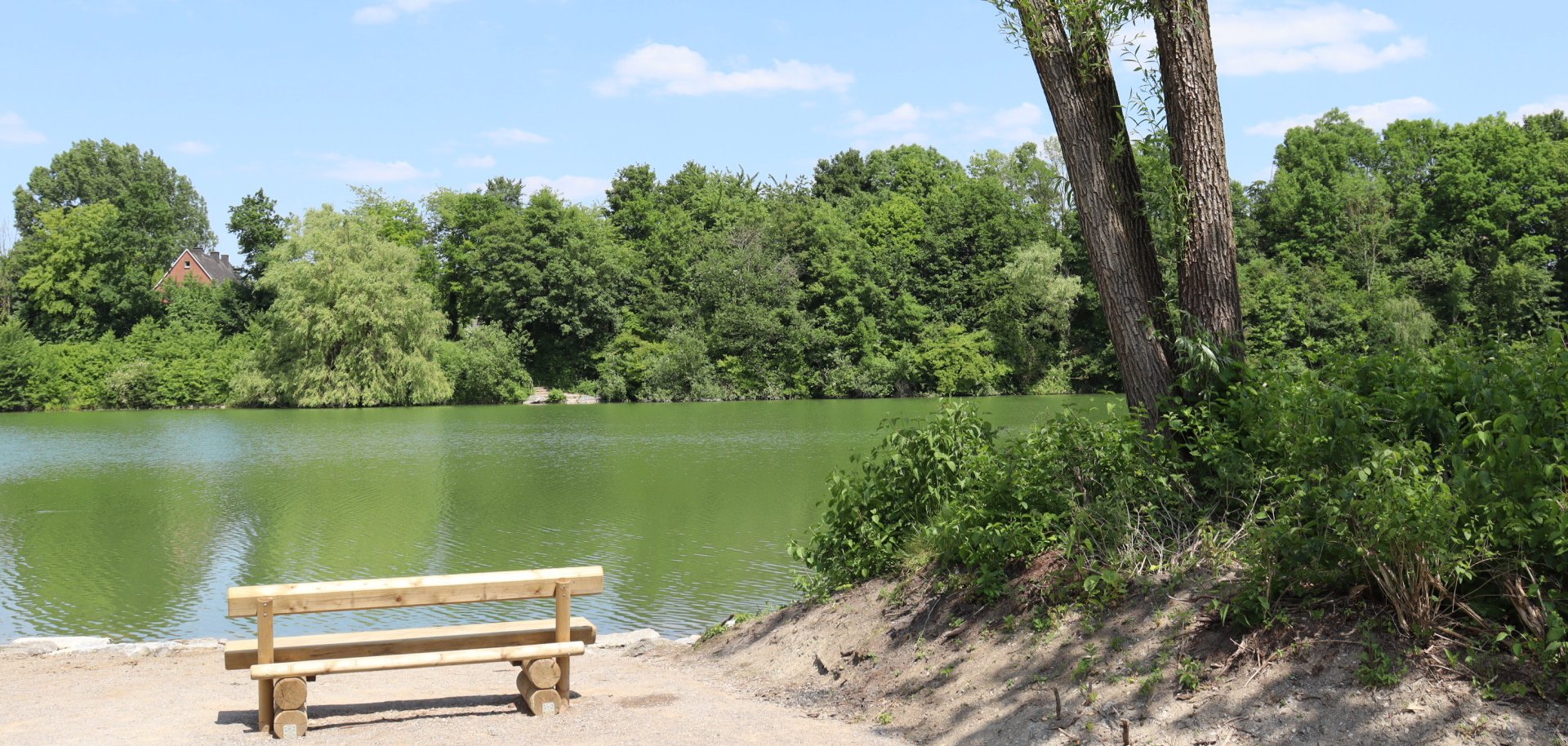 Bank am See