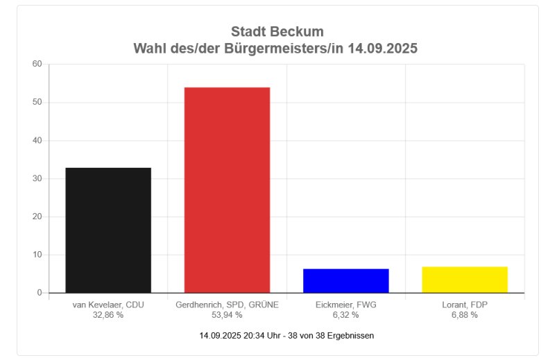 Diagramm Bürgermeisterwahl