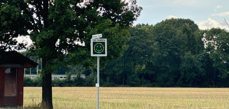 Speed Display mit Smiley in Roland