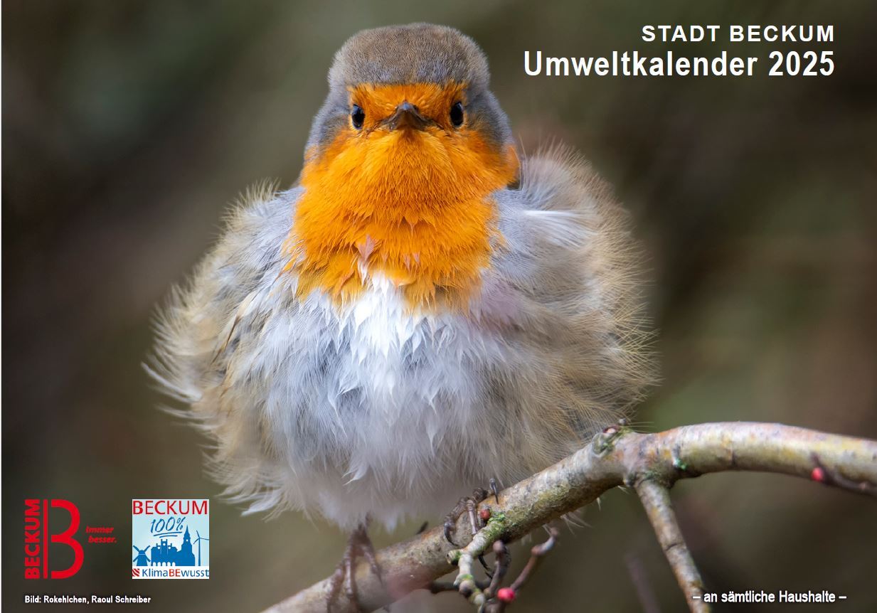 Titelbild mit Rothkehlchen