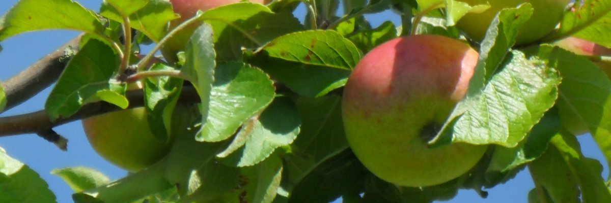 Beckum aus der Vogelperspektive