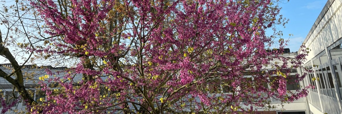 Beckum aus der Vogelperspektive