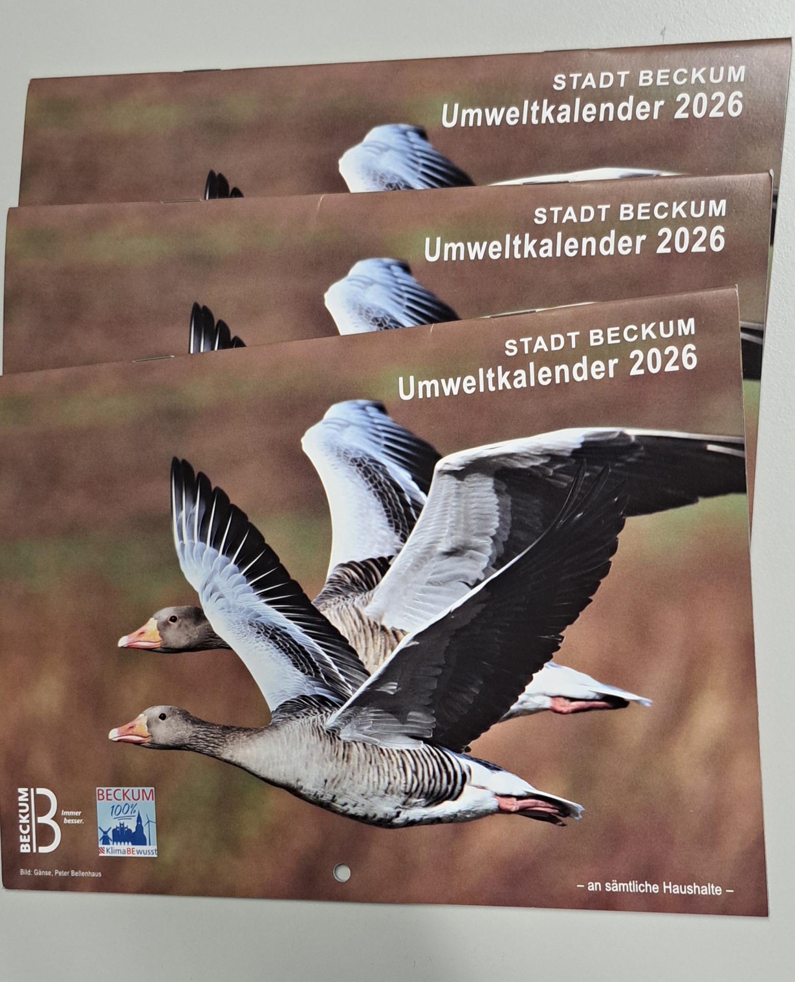 Umweltkalender