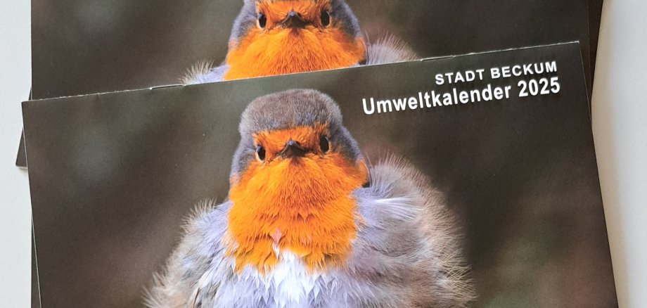 Titelbild 2025