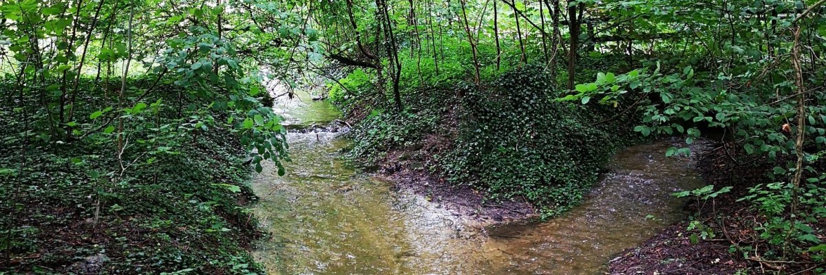 Beckum aus der Vogelperspektive