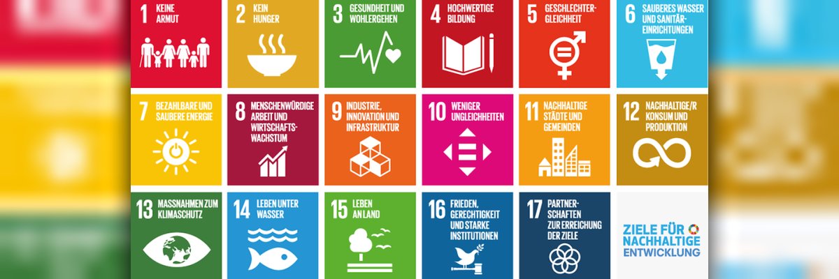 17 SDGs