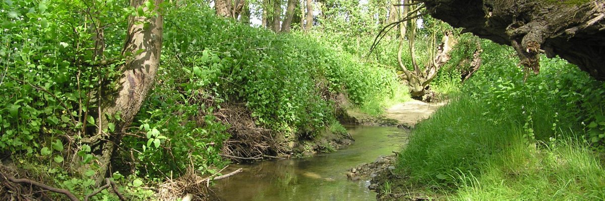 Beckum aus der Vogelperspektive